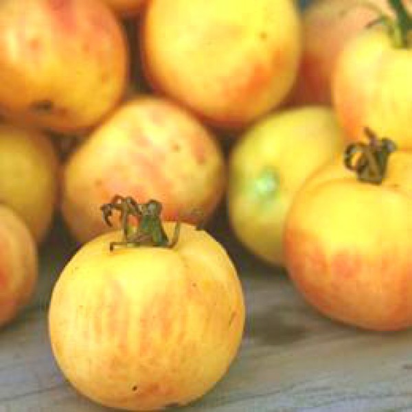 Garden Peach Tomaten Samen