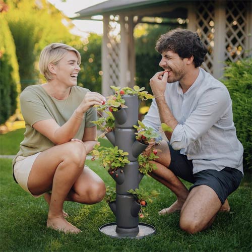 GUSTA GARDEN SISSI STRAWBERRY Classic Aardbeientoren