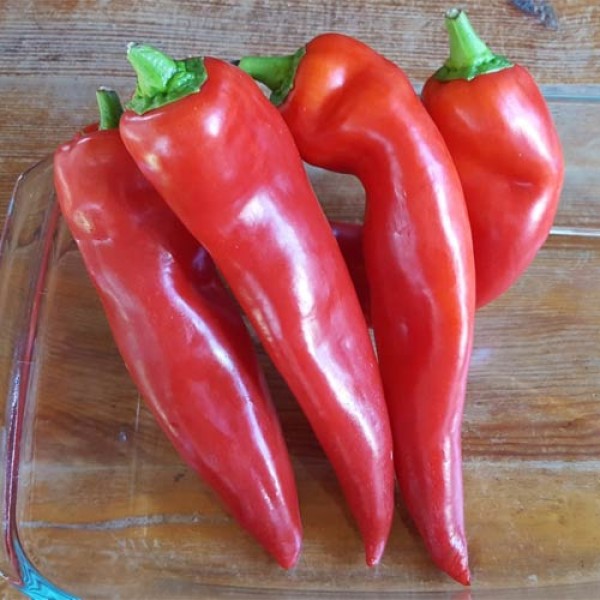 Kapya_Red_Chili_Samen_1.jpg