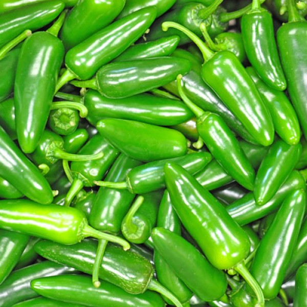 Jalapeno Chilis grün frisch 1000g