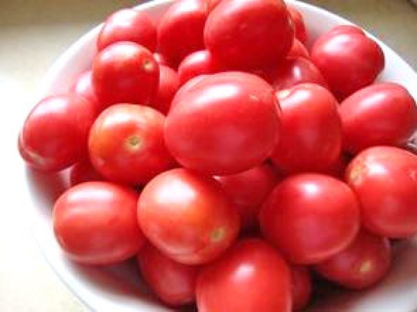 Porter_Tomaten_Samen_B_Ware_1.jpg