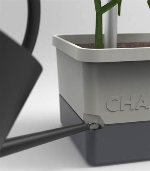 Charly Chili Pflanztopf fr Chilipflanzen - hellgrau - online bestellen auf  saatgut-biene.de