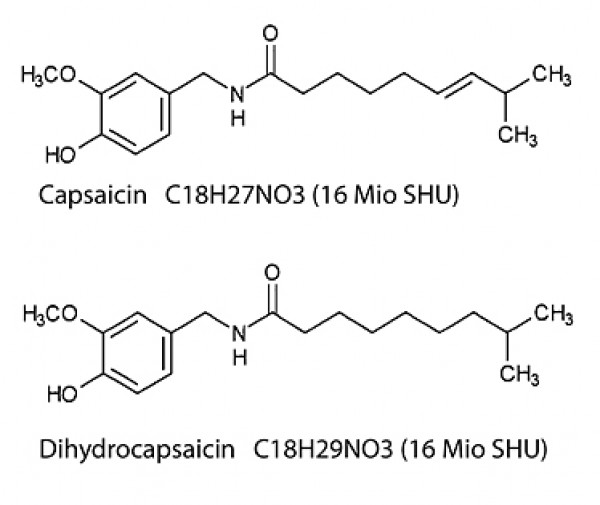 Capsaicin - Schärfe