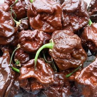 Trinidad_Scorpion_Chocolate_Chili_Samen_1.jpg Trinidad_Scorpion_Chocolate_Chili_Samen_1.jpg