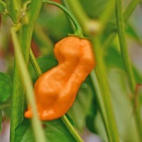 140351_01.jpg 140351_01.jpg