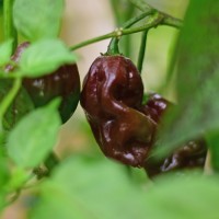 140330_01.jpg 140330_01.jpg