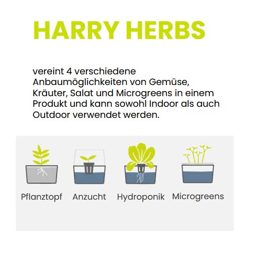 Harry Herbs Kräutertopf - weiß - online bestellen bei