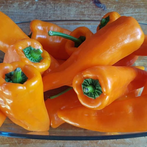 Kapya_Orange_Chili_Samen_1.jpg