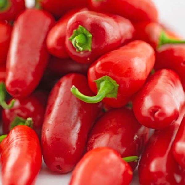 BIO Jalapeno Big Chilis rot frisch 1kg