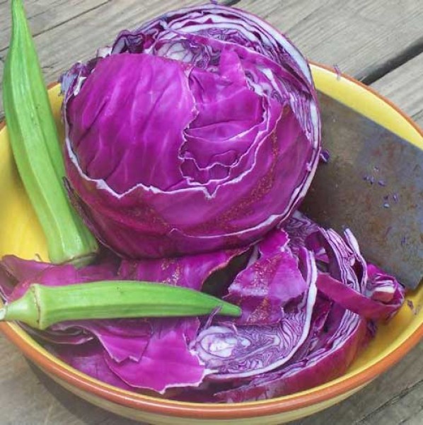 Rotkohl_Red_Acre_Samen_1.jpg