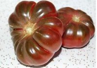 Purple Calabash Tomaten Samen Purple Calabash Tomaten Samen