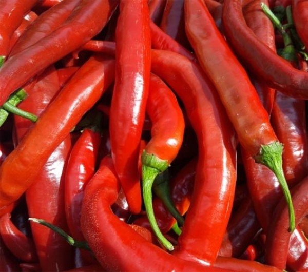 Cayenne_Fogaras_Chili_Samen_1.jpg