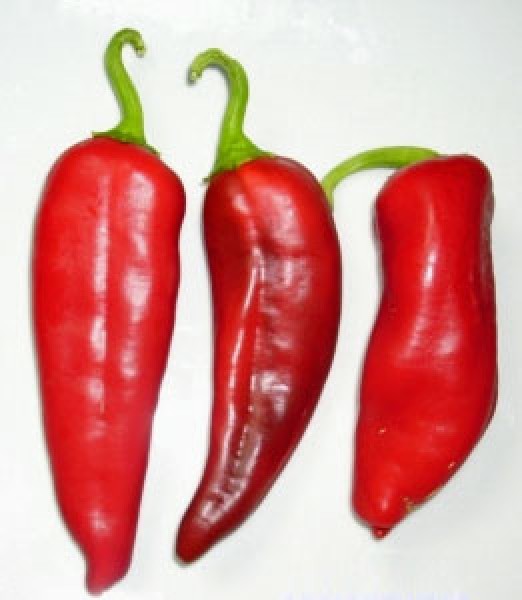 NuMex Big Jim Chili Samen