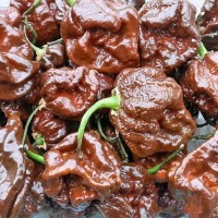 Trinidad_Scorpion_Moruga_Chocolate_Chili_Samen_1.jpg Trinidad_Scorpion_Moruga_Chocolate_Chili_Samen_1.jpg