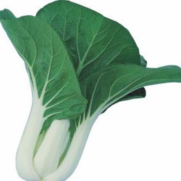 Pak_Choi_Canton_Dwarf_Samen_1.jpg