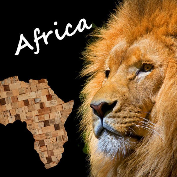 Afrika - im Land der scharfen Küchen