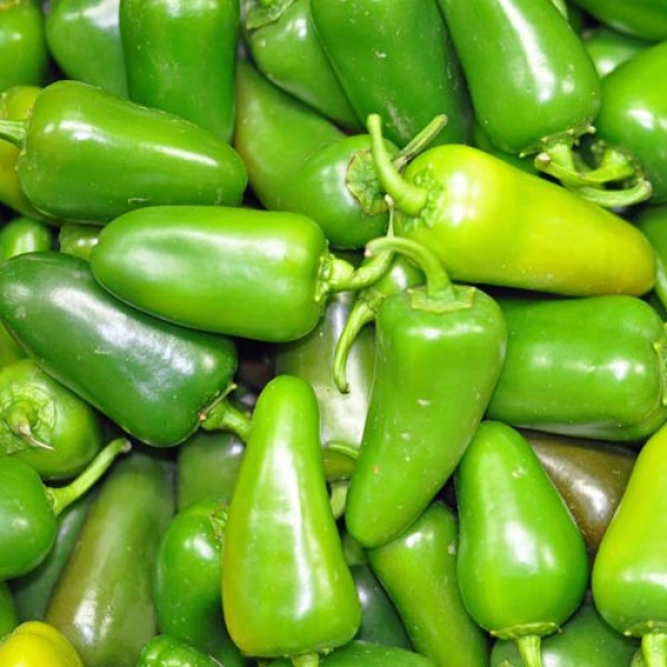 BIO Jalapeno Big Chilis grün frisch 500g