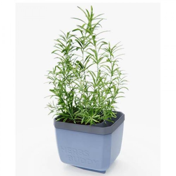 Herbs Buddy Kräutertopf blau