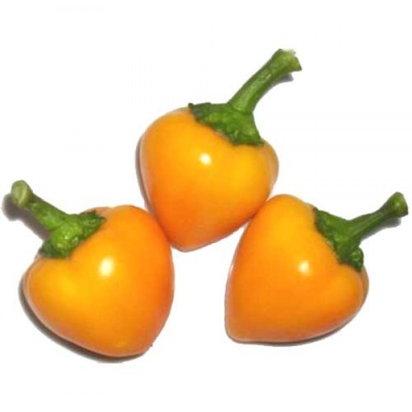 Gelber Kirschpfefferoni Chili Samen