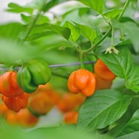 140344_01.jpg 140344_01.jpg