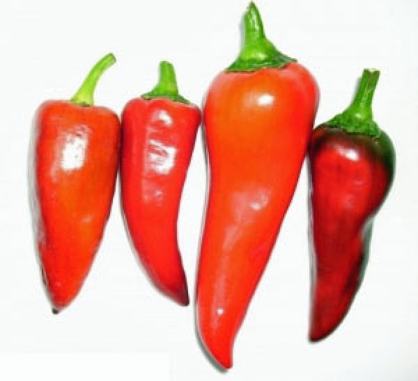 Capia Pepper Chili Samen