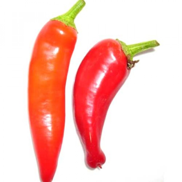 Hungarian Yellow Wax Hot Chili Samen B-Ware