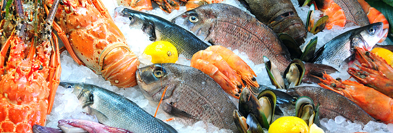 Fisch & Meeresfrüchte