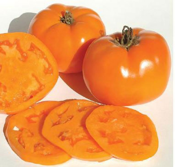 Valencia Tomaten Samen