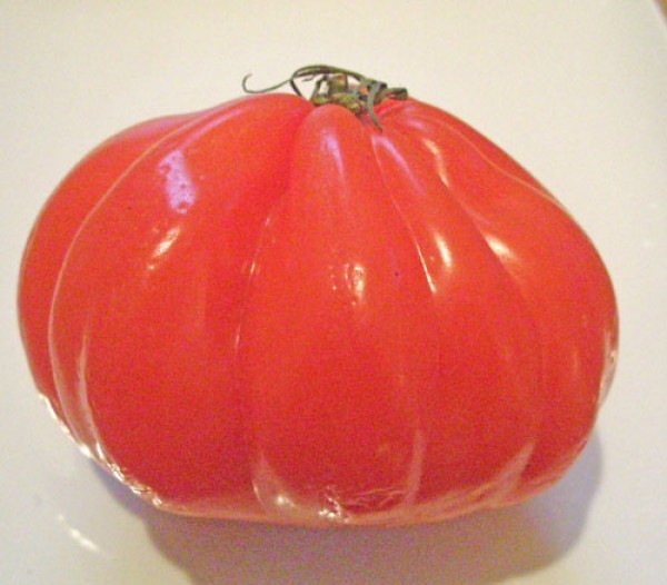 Cuore di Bue Tomaten Samen
