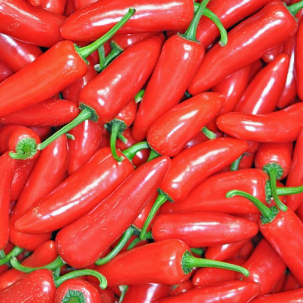 Info ChiliSorte Jalapeno