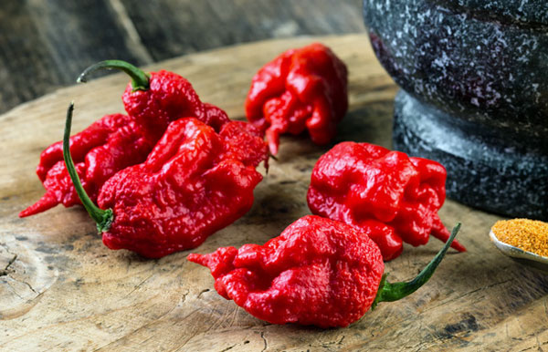 Was ist das schärfste Produkt der Welt? - chili-shop24.de