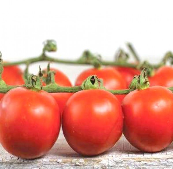 Chadwick Cherry Tomaten Samen