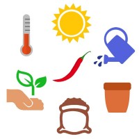 Crash-Kurs Chili-Anbau Crash-Kurs Chili-Anbau