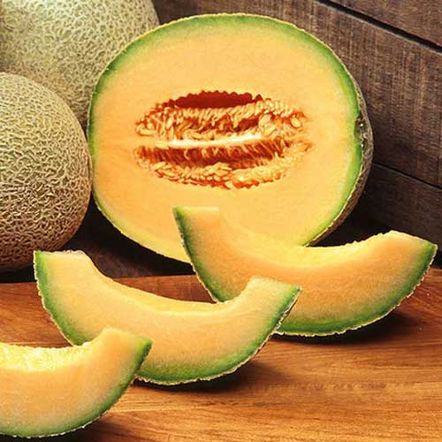 Melone Cantaloupe Hearts of Gold Samen bestellen