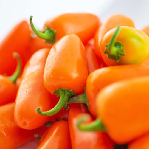 Frische BIO Jalapeno Orange Chilis online kaufen bei