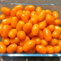 San_Marzano_Mini_Orange_Tomaten_Samen_1.jpg San_Marzano_Mini_Orange_Tomaten_Samen_1.jpg
