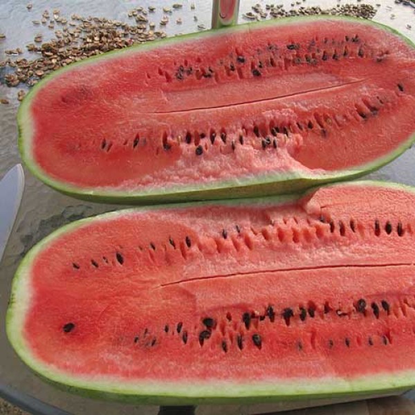 Wassermelone_Charleston_Grey_Samen_1.jpg