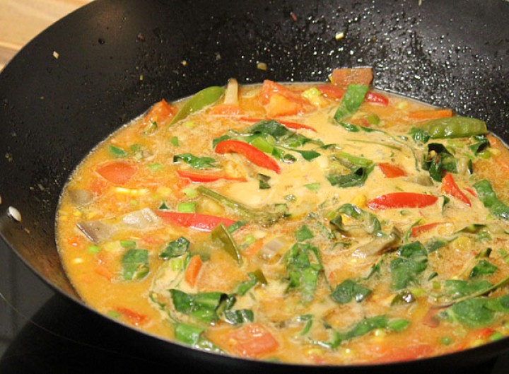 Rotes Thai-Curry mit Kokosmilch - chili-shop24.de